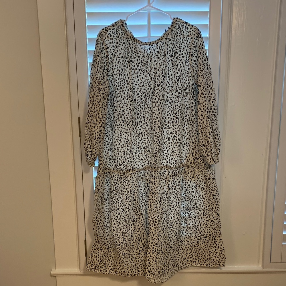 Who What Wear Black and Cream Long Sleeve Dress